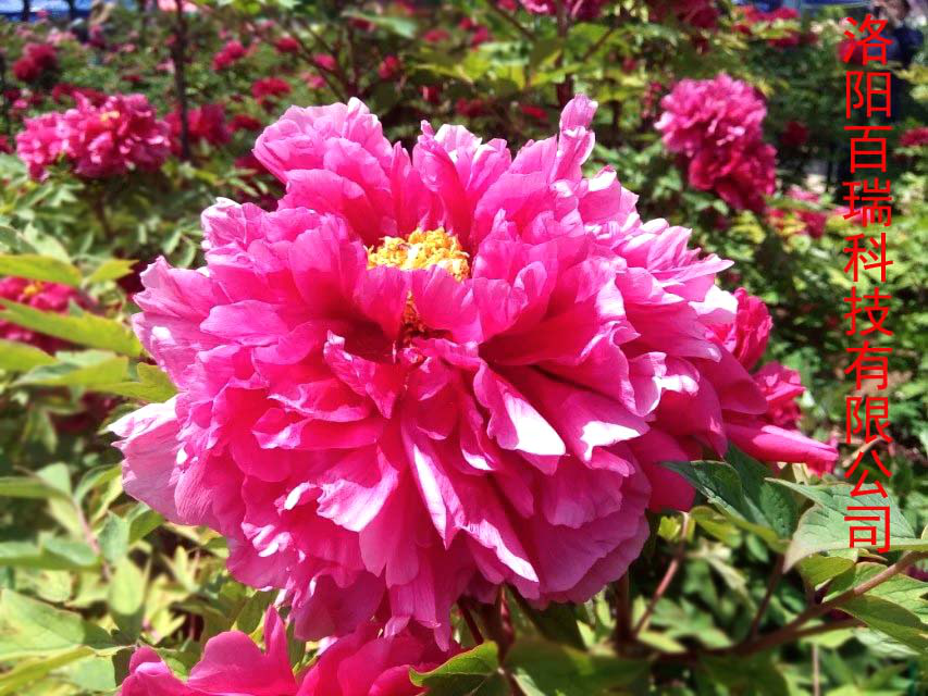 1587021306360270.png 圖片8.png