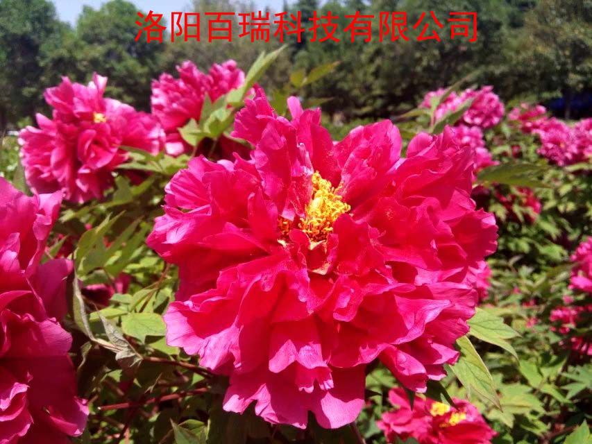 1587021320125351.png 圖片9.png